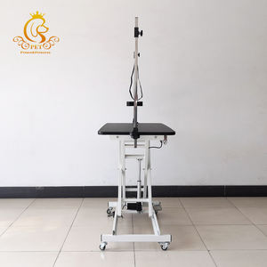 โต๊ะกรูมมิ่งสัตว์เลี้ยงอเนกประสงค์ EUR PET รุ่นหรูหรา พร้อมที่หนีบแขนขนาดใหญ่ ยกด้วยระบบไฟฟ้า สำหรับกรูมมิ่งสัตว์เลี้ยง - Product Image 3