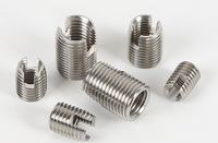 Made China Customized Stainless Steel Hole Slotted M4 M6 Self Tapping Screw Thread Insert Fastener ISO9001 Certified General