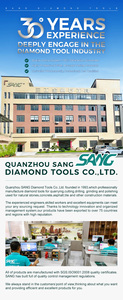 Blocco Diamantato SANG ad Alta Efficienza Personalizzabile per Levigatura di Superfici in Calcestruzzo - Product Image 6