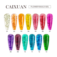 Nouveau Gel de Construction pour Ongles 2023 - 13 Couleurs - Vente en Gros - Emballage 1Kg - Gel de Construction pour Extension d'Ongles
