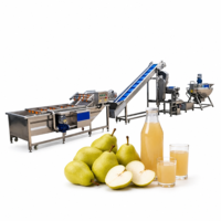 Industriële fruit sap productielijn, kleine tot grote capaciteit sap extractie, afvul- en bottelmachine