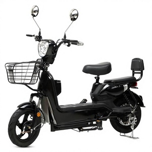 Fabricante Mayorista de Baterías de Plomo-Ácido de 48V para Adultos, con Alcance de 25-35 km, Largo Alcance Dorado, para el Sudeste Asiático - Product Image 5