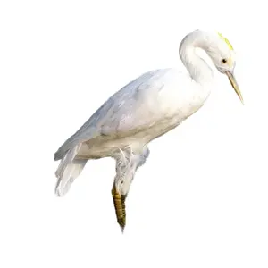 melhor chamariz coruja Suppliers-Egrets de resina e pele modelo de simulação criativa, modelo de presente de 45*12cm