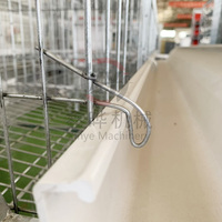 Vente directe du fabricant, cage à poules de type A, équipement pour élevage avicole, petite cage à poules, conception de cage à poules pondeuses