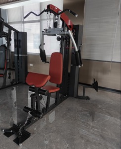 Équipement de fitness multifonctionnel en acier au carbone unisexe pour la musculation à domicile, vente en gros d'usine, modèle MS6002 Home G - Product Image 1