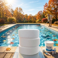 E20260826 Tablettes de haute qualité de 3 pouces pour la surveillance et le contrôle des piscines