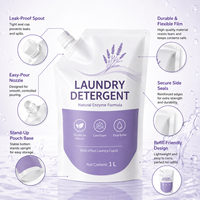 Liquide de lavage domestique personnalisé OEM écologique, antibactérien, formule douce et sûre, dissolution efficace de la saleté pour le lavage des vêtements