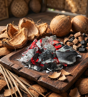 Charbon de coque de noix de coco à structure dense, à haute valeur calorifique et à faible teneur en cendres, idéal pour l'énergie propre et la production de briquettes