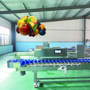 <b>Fruit</b> Sorting <b>Machine</b>/seafood Grading /citrus Potato Small Size - Product Image 6