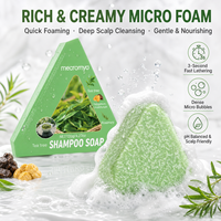 Shampoing Solide Artisanal Anti-Chute au Son de Riz Fermenté, Fortifiant et Volumisant, pour Traitement des Cheveux Abîmés, Fins et Fragiles