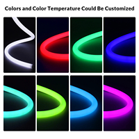 360 degrés éclairage néon 22MM avec haute qualité 3 ans de garantie CE ROHS 12V 24V couleur unique couleur RVB