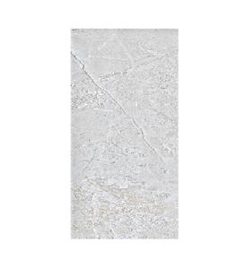 Supplier and Manufacturer Metallic Finish Non Slip Surface Wooden Looks Porcelain Tiles 600x1200mm for Seminar Hall. - Product Image 3