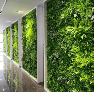 New Idea Eco-Friendly Stabilized Colorful <strong>Moss</strong> Natural Preserved <strong>Moss</strong> for Home Decoration - Product Image 3