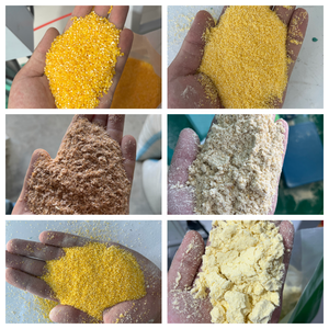 เครื่องบดแป้งข้าวโพด 50TD พร้อมเครื่องตรวจจับโลหะสำหรับตรวจสอบความปลอดภัยของผลิตภัณฑ์ขั้นสุดท้าย เครื่องบดข้าวโพดสำหรับอาหารสัตว์ปีก - Product Image 3