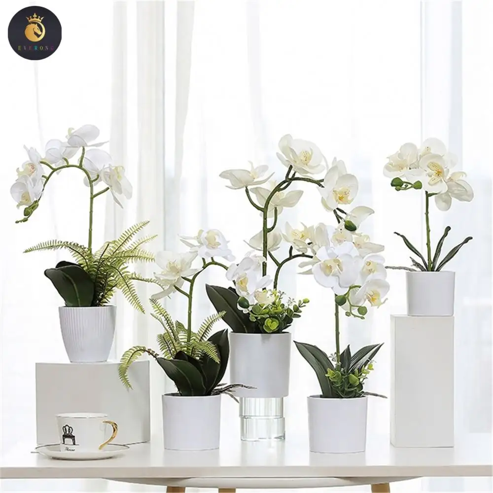 M069 toptan Dendrobium Cattleya orkide bitkiler ipek korunmuş beyaz Phalaenopsis orkide Pot yapay orkide Pot