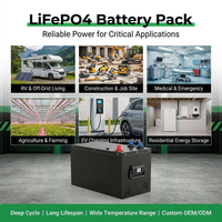 Batterie LiFePO4 au phosphate de fer et de lithium 9,6 kWh 48 V 200 Ah pour système hybride domestique, cycle profond, BMS intelligent, application Bluetooth, tout-en-un, empilable