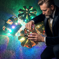 Discothèque Led clignotant mousseux bouteille de champagne couronne lumière pour bouteille