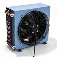 Unidad de Refrigeración Pequeña Personalizable con Compresor de Ventilador Único e Interfaz Lateral, Condensador de Tubo de Cobre Aletado Refrigerado por Aire