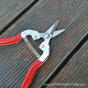 Cisailles à fruits en acier inoxydable Taiwan Mountain Wisteria, structure papillon, 20-30 mm, pour l'élagage des arbres fruitiers - Product Image 3