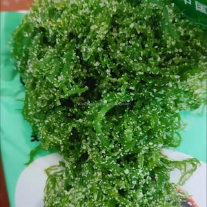 สาหร่ายสาหร่ายทะเลสาหร่ายสาหร่ายสาหร่ายสาหร่ายสไครโอไมอสจากธรรมชาติ Schoberioides kunth - Product Image 2