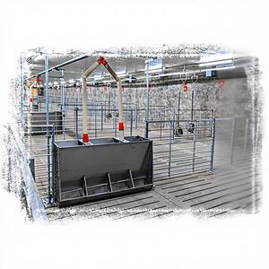 Jaula de Engorde para Lechones Nueva y Resistente, de Acero Galvanizado en Caliente, Tamaño Personalizable, 1 Año de Garantía, HENGYIN HY-fatten - Product Image 1