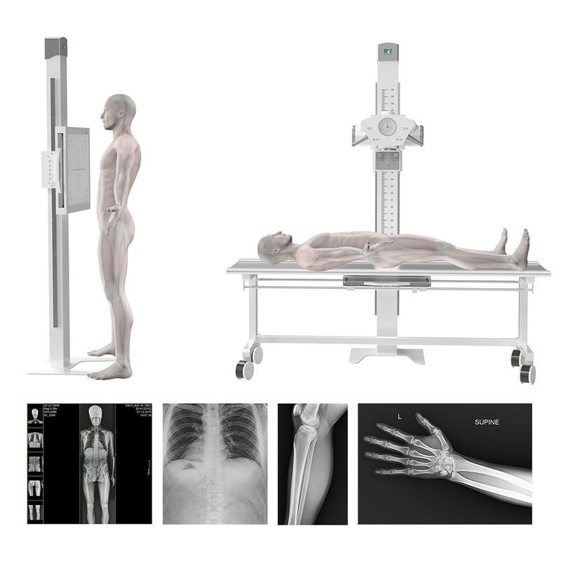 DC 26 Diagnostic Ultrasound System Medical