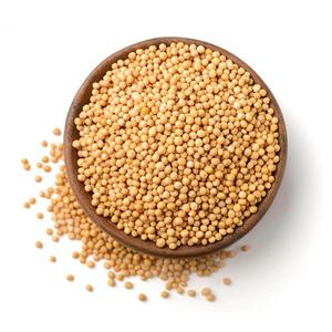 चीन मसाले और seasonings गर्म बिक्री अच्छी गुणवत्ता प्राकृतिक विशेष स्वाद सरसों बीज - Product Image 5