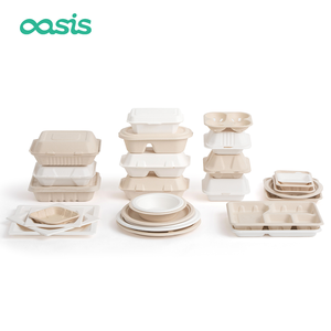 Oásis Personalizado Verde Biodegradável Descartável Açúcar Papel Placa Prato Fast Food Bandeja Talheres Eliminação Lunch Box - Product Image 6