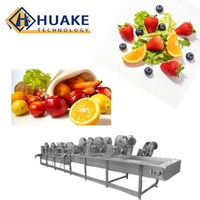 Bubble Fruit- en groentewasmachine met instelbare output voor het reinigen van bessen, bladgroenten en fruit