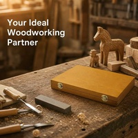 Ensemble professionnel de 12 outils de sculpture sur bois en acier CR-V, ciseaux, poinçons, manche en bois de hêtre pour le travail du bois, bricolage et artisanat