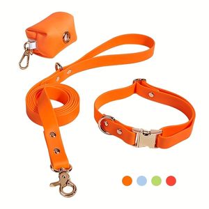 Laisse et collier réglables en PVC pour chien, faciles à nettoyer, étanches, pour petits, moyens et grands chiens - Product Image 1