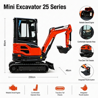 Mini-excavatrice de 2,5 tonnes avec accessoires, moteur Kubota EPA, mini-excavatrice sur chenilles, mini-pelleuse, haute efficacité, construction, agriculture