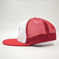 Gorra unisex de 5 paneles con visera plana, bordado de fieltro de hojas de peces tropicales, parte trasera de malla de lona y jersey, a rayas, de alto rendimiento, de forro polar, para exteriores.