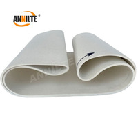 Annilte 8mm 10mm 100% Nomex Feutre de transfert thermique pour rouleaux de ceinture