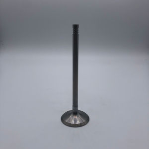 อะไหล่เครื่องยนต์ วาล์วไอดี วาล์วไอเสีย วาล์วเครื่องยนต์แบบฟอร์จ สำหรับ Lamborghini R8 5.2 V10 AUDI VW 4.2 V8 BAR BAT <span class=keywords><strong>3</strong></span>.2L V6 <span class=keywords><strong>3</strong></span>.0T - Product Image 5