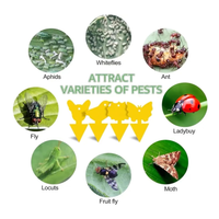 Adhésif fort Lutte antiparasitaire efficace Utilisation intérieure et extérieure Flytrap Fruit Fly Fungus Gnat Sticky Trap