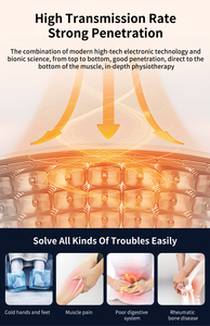 Suyzeko Offre Spéciale Équipement de physiothérapie Thérapie des pieds <span class=keywords><strong>Anti</strong></span>-inflammation <span class=keywords><strong>Onde</strong></span> <span class=keywords><strong>électromagnétique</strong></span> THz Terahertz Therapy Device - Product Image 3