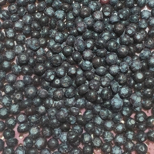 Лидер продаж, Замороженная черника IQF, свежие цены, оптовая продажа, IQF замороженные фрукты - Product Image 2