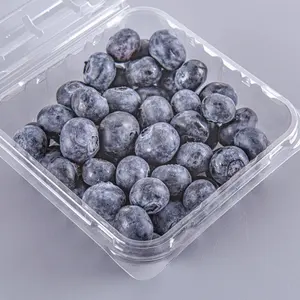 Lesui 125g embalagem de mirtilo de plástico reciclado embalagem de frutas caixa transparente frutas berry mirtilo recipiente com furos