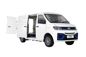 Tienda legal de la calle vehículo coches camión de comida rápida mini furgoneta eléctrica EEC refrigeración FedEx UPS DHL cargo pequeño coche de entrega - Product Image 2