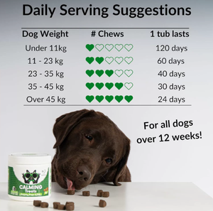 Bocconcini Morbidi Calmanti per Cani Personalizzati OEM, 120 Pezzi, Assorbimento Rapido, Vitamine e Minerali, Senza Effetto Pungente, Certificati - Product Image 5
