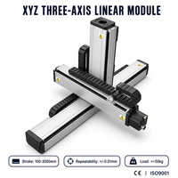Robot Linear Multi-Axis XYZ Meja Geser Tiga Sumbu untuk Pengisian Otomatis, Pengencangan Sekrup, dan Inspeksi Visual