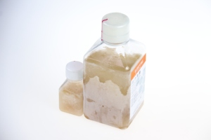 Precio Preferencial de Suero <span class=keywords><strong>Bovino</strong></span> Fetal (FBS) o Cultivo Celular y Suero <span class=keywords><strong>Bovino</strong></span> Fetal (FBS) para Cultivo Celular - Product Image 4