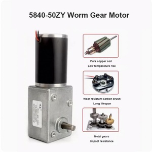 5882-50ZY 12V 24V 220KG DC <b>Worm</b> <b>Geared</b> Motor 1.5-296RPM Reversible Adjustable Speed With Self Lock for Electric Curtains - Product Image 3