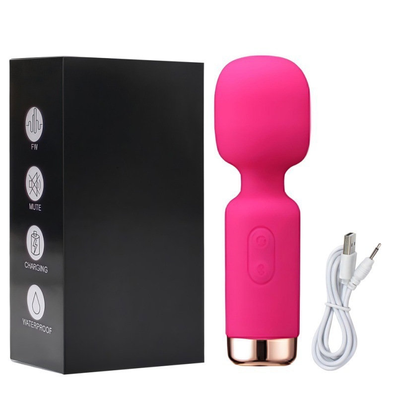 Vibrateur microphone-rose rouge-en boîte