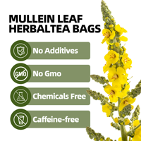Sachets de tisane de feuilles de molène 1,5g x 20 Ziplock Arôme Ambre Doré Velouté Soyeux Mielé Floral Subtil Simple Naturel OEM
