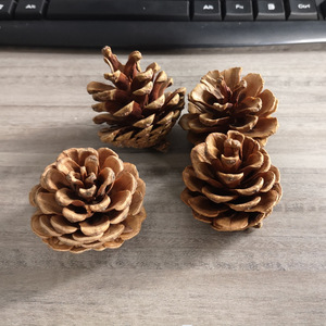 Adorno Navideño Colgante AYOYO con Forma de Piña, Decoración Creativa con Flores Secas y Piña - Product Image 2