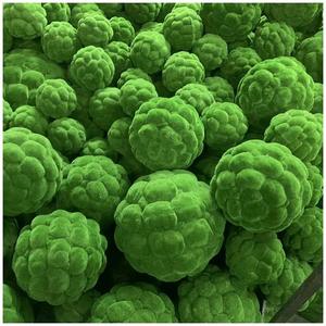 Tapis de gazon artificiel, toile de fond aspect naturel, mur végétal artificiel, mousse, <span class=keywords><strong>plante</strong></span> artificielle, toucher réel, cadeau, tapis décoratif en gazon artificiel - Product Image 6