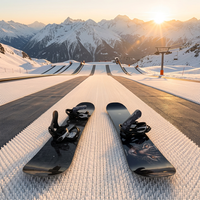 Dalles de tapis de ski sèches emboîtables robustes pour piste de ski artificielle, idéales pour les écoles et stations de ski