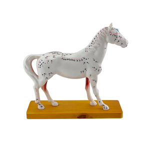 Modèle d'acupuncture équine, modèle de cheval, modèle anatomique d'acupuncture animale, modèle des points d'acupuncture du cheval. - Product Image 5